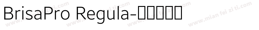 BrisaPro Regula字体转换